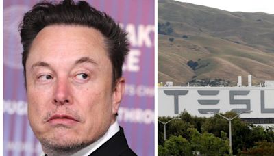 The battle over Elon Musk's pay package is a showdown between his army of supporters and institutional investors