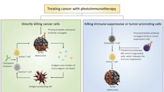 Redefining cancer therapy with photoimmunotherapy