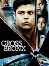 Cross Bronx