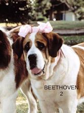 Beethoven's 2nd (film)