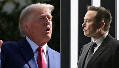 Elon Musk counsels Donald Trump on crypto to reach new voters ahead of November elections