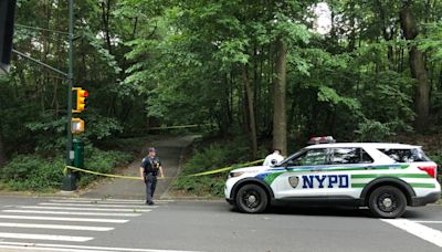 Sunbather fights off man attempting to sexually assault her in Central Park