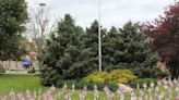 Field of Flags at Jones Memorial Hospital to honor deceased vets, help wounded vets