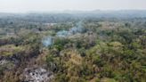 Suman en Veracruz nueve incendios forestales activos