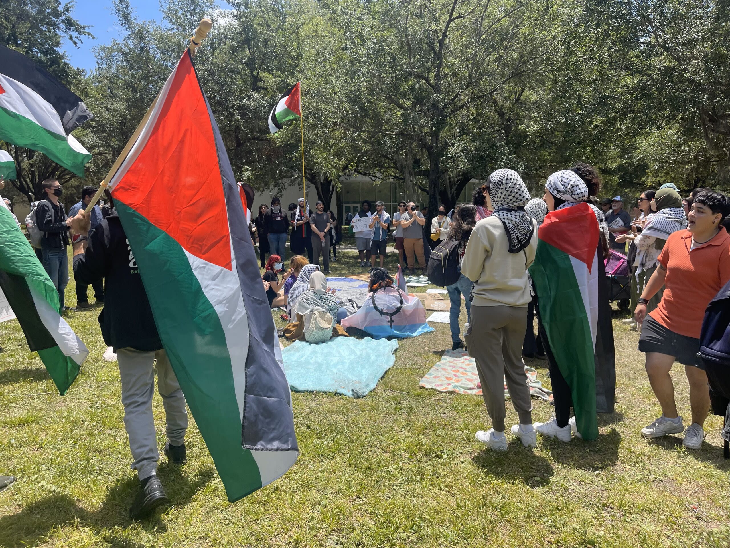 Pro-Palestine encampment protest at USF broken up by tear gas