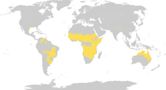 Tropical and subtropical grasslands, savannas, and shrublands