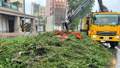 凱米颱風暴雨肆虐 台南半天清運近50公噸垃圾、樹枝