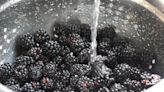 How to Wash Blackberries the Right Way, According to Our Test Kitchen
