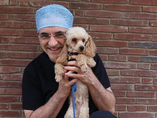 The Supervet's Noel Fitzpatrick responds to emotional "final episode" of series