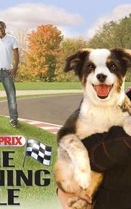 Grand Prix: The Winning Tale