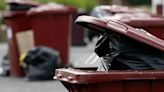 Bin collections to continue on royal bank holiday