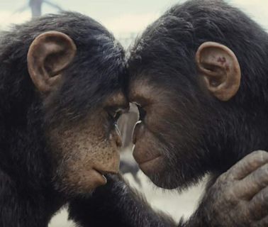 Kingdom of the Planet of the Apes: When to stream the movie on Hulu in the US - The Economic Times