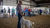 Take a look at the 2024 Ross County Fair schedule
