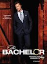 The Bachelor (American TV series) season 19