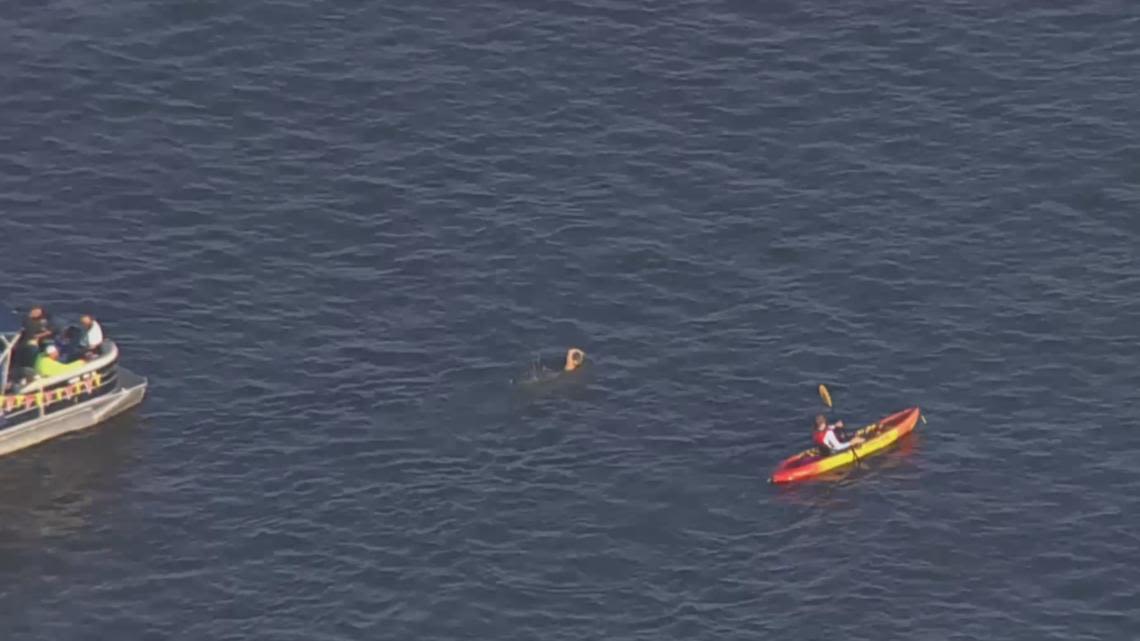 A woman is swimming from the Bay Bridge to Baltimore's Inner Harbor. Here's why