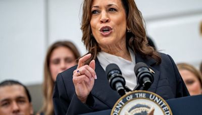 'Lifelong Republican' endorses Kamala Harris