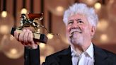 Almodóvar sigue haciendo historia: gana un León de Oro en Venecia con 'La habitación de al lado', su primera película en inglés