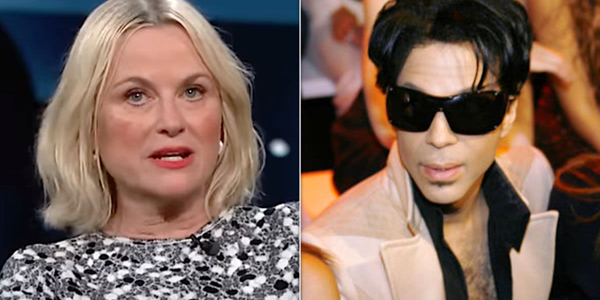 Amy Poehler Doomed Her One Chance With Prince With The Dorkiest Question
