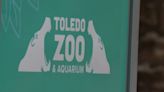 Toledo Zoo announces security upgrades