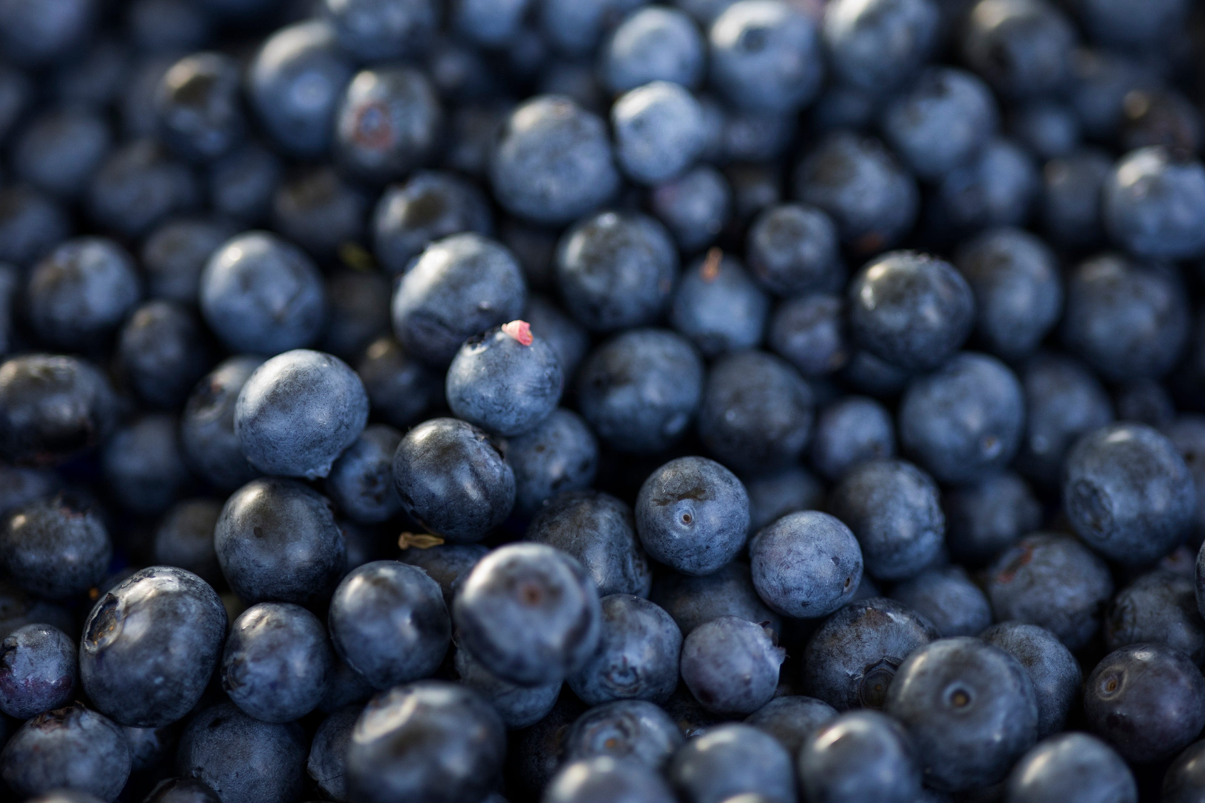 Power through July, aka National Blueberry Month, with super fruit