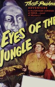 Eyes of the Jungle