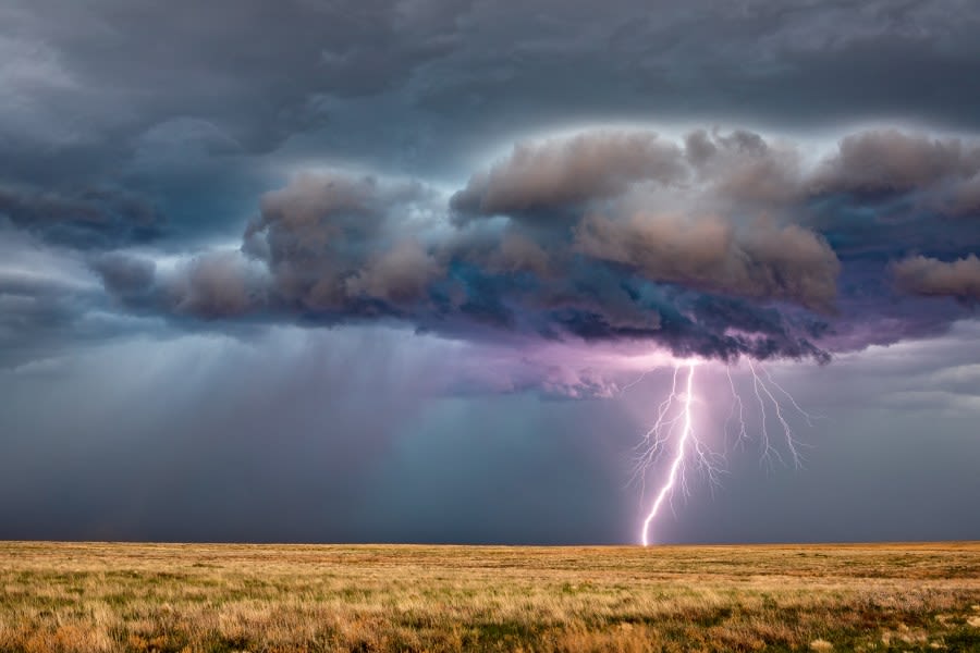 Rancher, 34 head of cattle killed by lightning in Jackson County