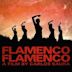 Flamenco, Flamenco