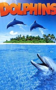 Dolphins