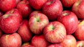 The Only Way You Should Store Apples, According to a Produce Expert