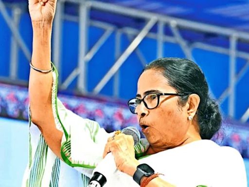 Rath Yatra to be held in Digha from next year: Mamata Banerjee