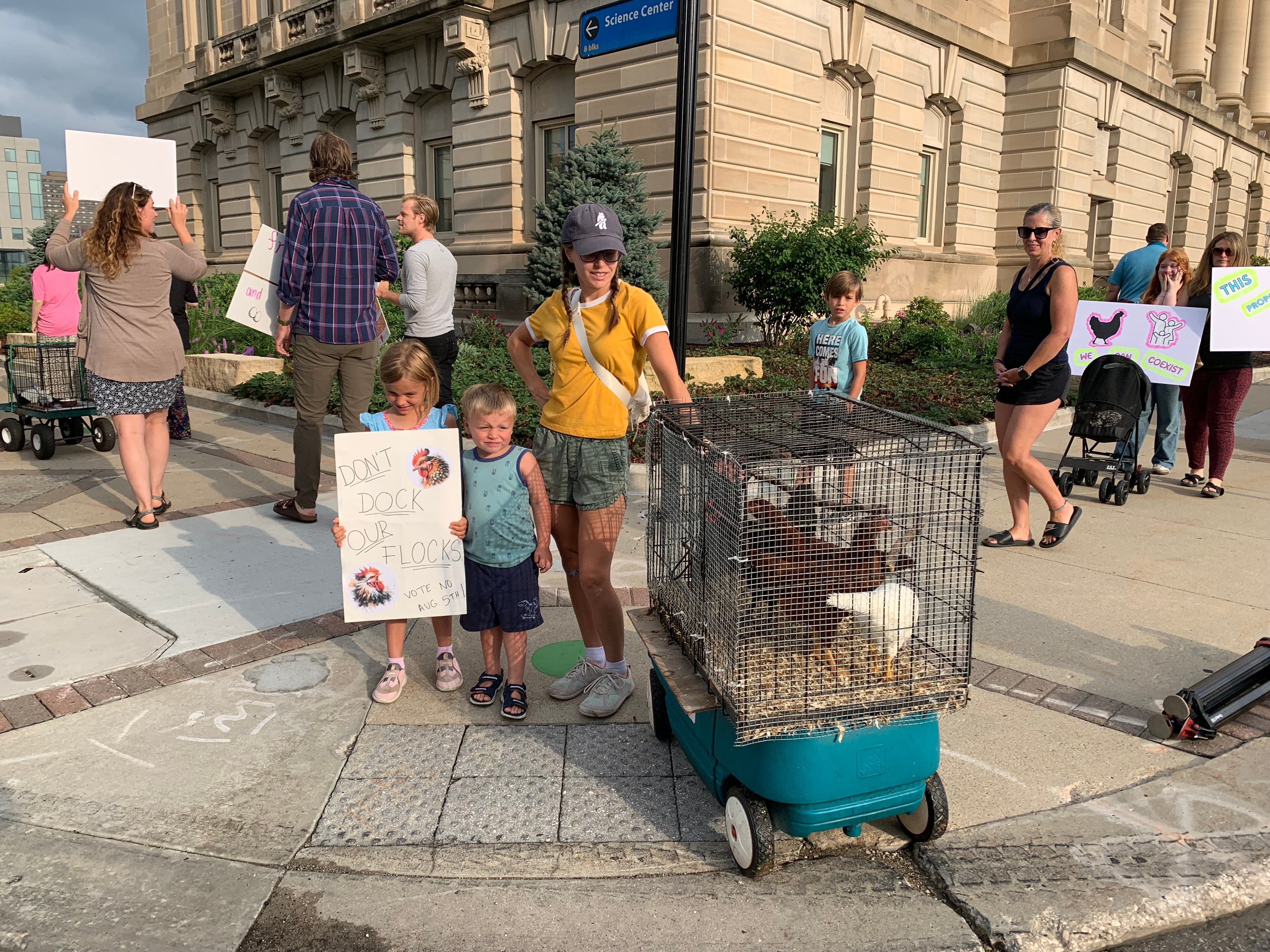 Des Moines could ban roosters, limit hens in yards. A chicken parade protested the change.