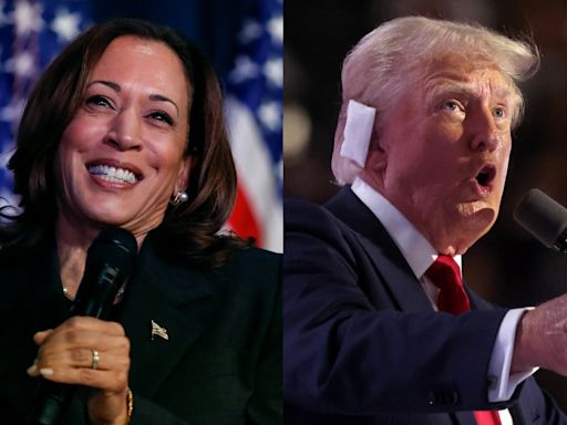 Trump takes a big lead over Harris in betting odds for November, but one Dem is a surprise with her chances