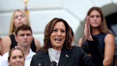 Silicon Valley Donor Class Is Divided as Harris Support Grows in Tech Stronghold