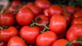 Gene-Edited Tomatoes: Scientists Use Crispr to Supply 'Sunshine Vitamin'