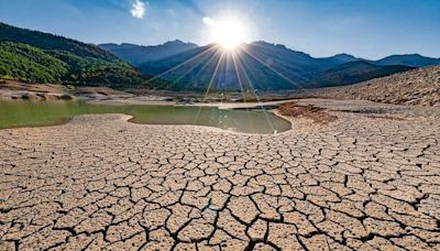 Nuevas tecnologías agrícolas enfrentan el cambio climático | El Universal