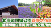 北海道國家公園5月春野之花節！盛開瀕危白蘭葵 附日期/交通/地址 | U Travel 旅遊資訊網站