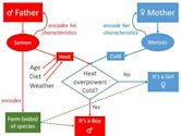 History of genetics