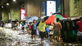 ​​What is leptospirosis and why you should be careful treading in flooded areas