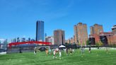 Inauguran parque en el East River en NYC - El Diario NY