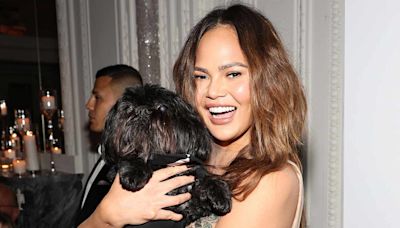 Chrissy Teigen Makes a Furry Friend at the ACE Awards, Plus Vin Diesel and Rita Moreno, Kim Kardashian and More
