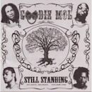 Still Standing (Goodie Mob album)