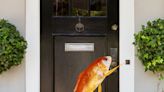 There’s a “Fish Doorbell” in the Netherlands. Yes, a Doorbell—for Fish.