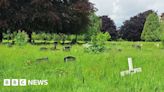 Coventry: Complaints over overgrown London Road Cemetery