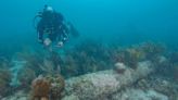 British warship identified nearly three centuries after sinking off the coast of Florida