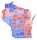 2012 United States Senate election in Wisconsin