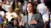 Some Democrat donors reportedly left fuming after Kamala Harris call: ‘A total failure’