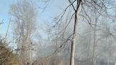 Cause of brush fire in Bridgewater, Bernards under investigation