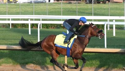 With entries taken, gates assigned, trainers, jockeys plot Kentucky Derby tactics