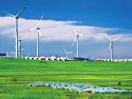 Does Wind Power Kill Birds - Mis-asia provides comprehensive and diversified online news reports, reviews and analysis of nanomaterials, nanochemistry and technology.| Mis-asia