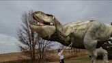 Sask. museum puts life-size Scotty the T. rex in your pocket through augmented reality